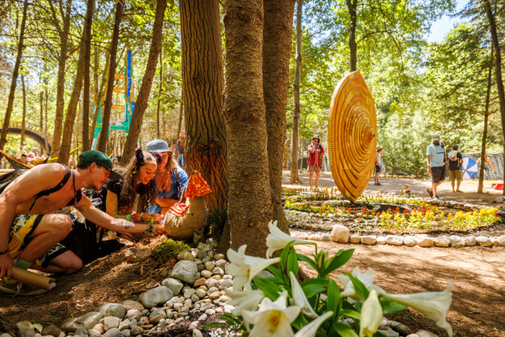 Forest Goers peeking inside a fairy door