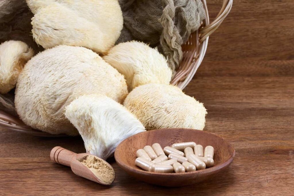 Adaptogenic mushroom lions mane, in powder form and pills