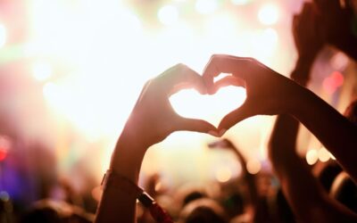 10 Herbal Allies for your Festival First Aid Kit